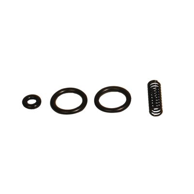 O-Ring and Valve Spring Kit AOS107