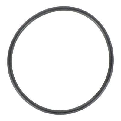 O-Ring MPP1316 for PBS 10
